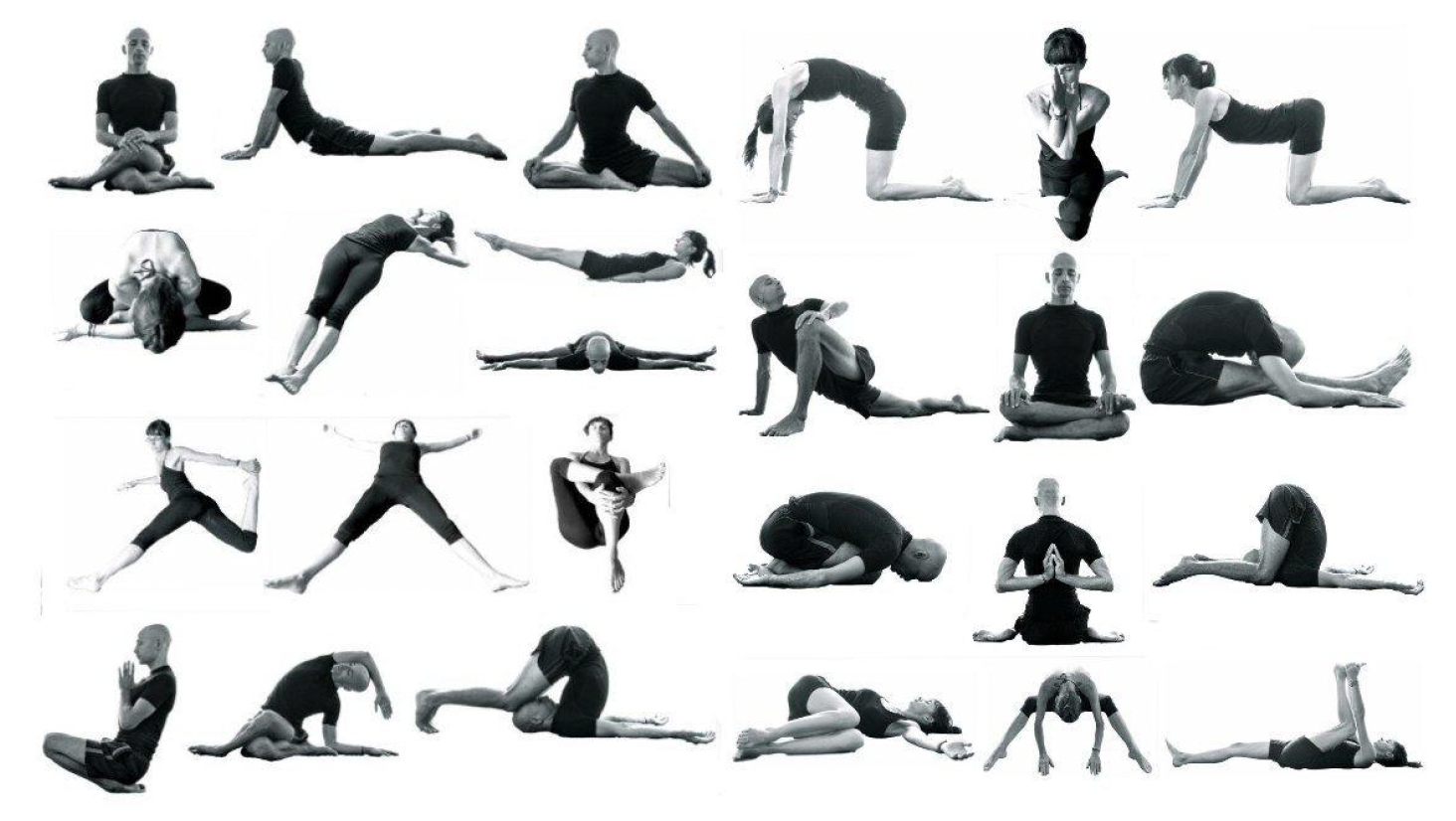 Yin Yoga Poses Chart